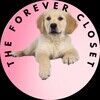 msvforever